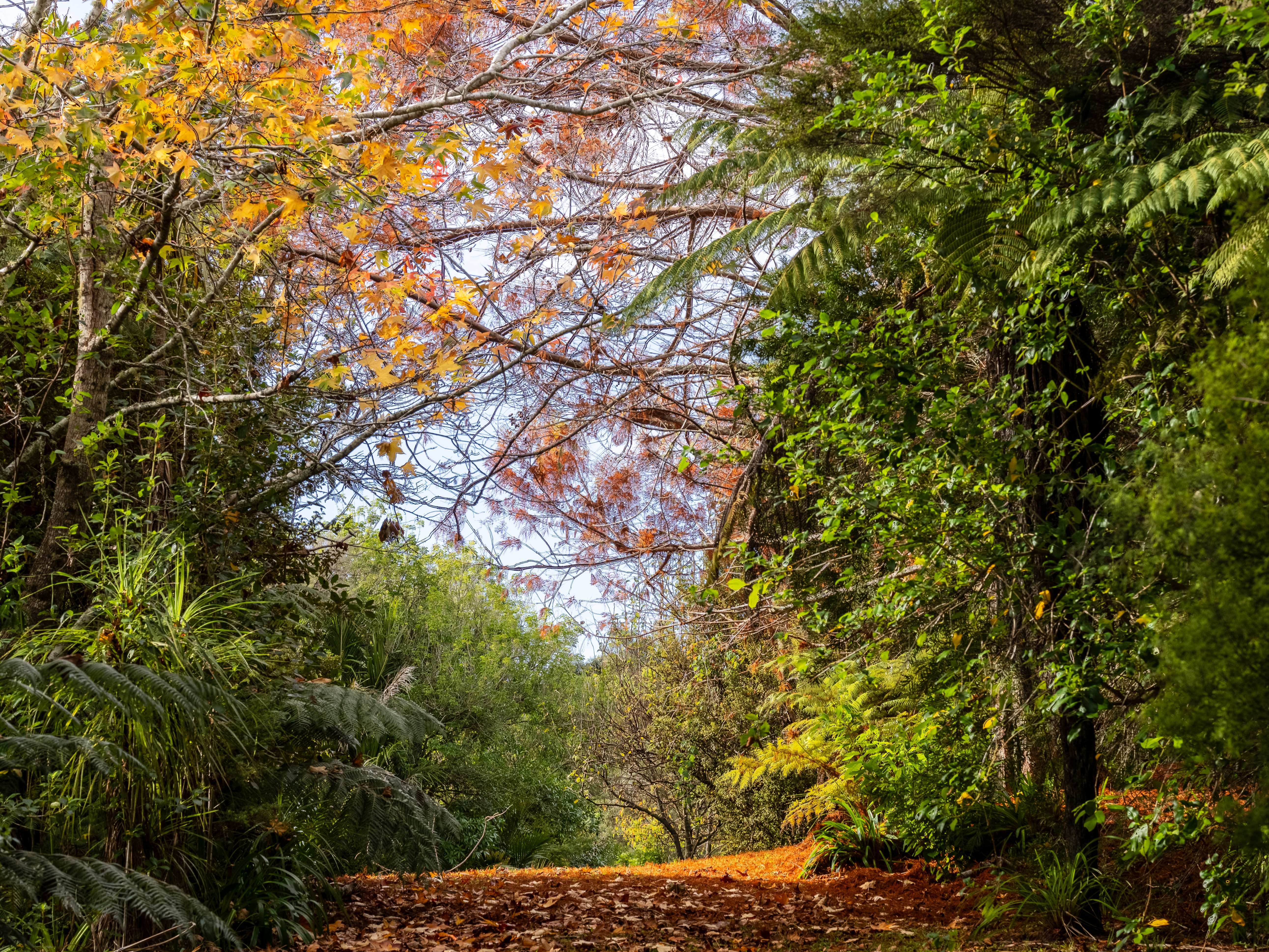 90128 Coastal Matakana with water views Premium Real Estate